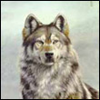 Wolfx
